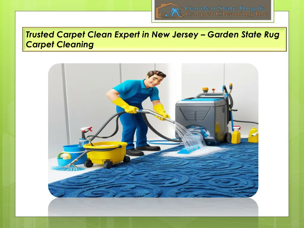 trusted carpet clean expert in new jersey garden 1