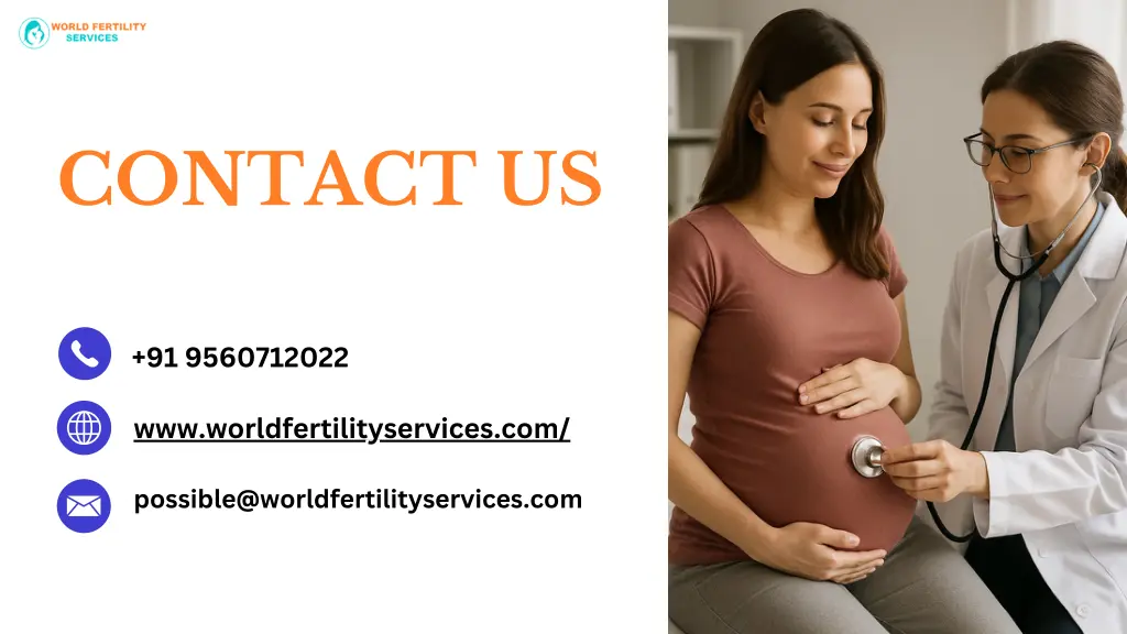 contact us