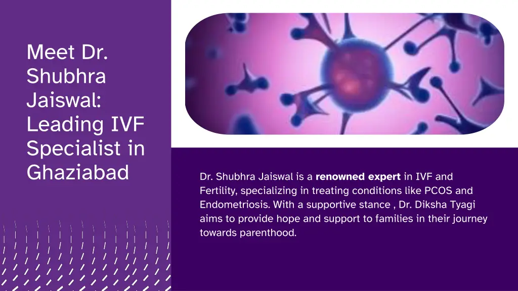 meet dr shubhra jaiswal leading ivf specialist
