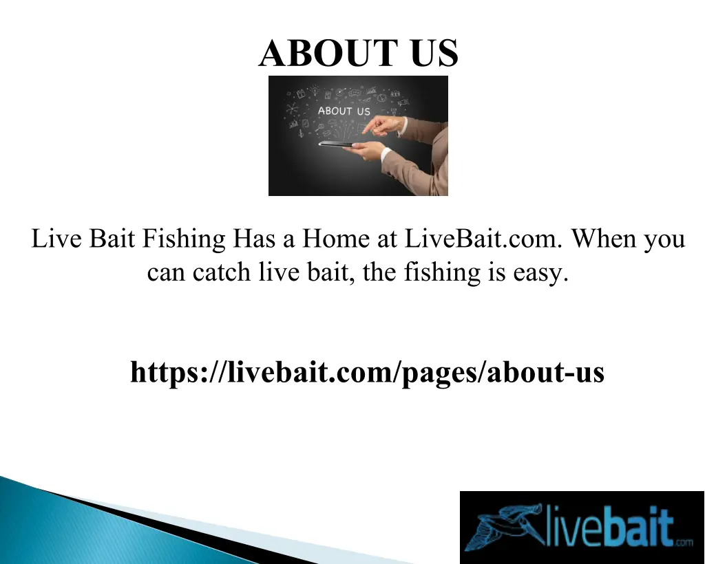 about us