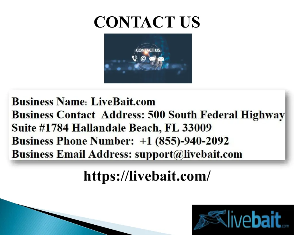 contact us