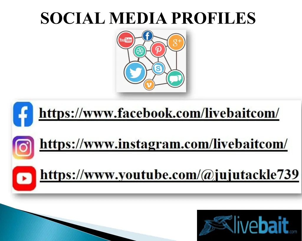 social media profiles