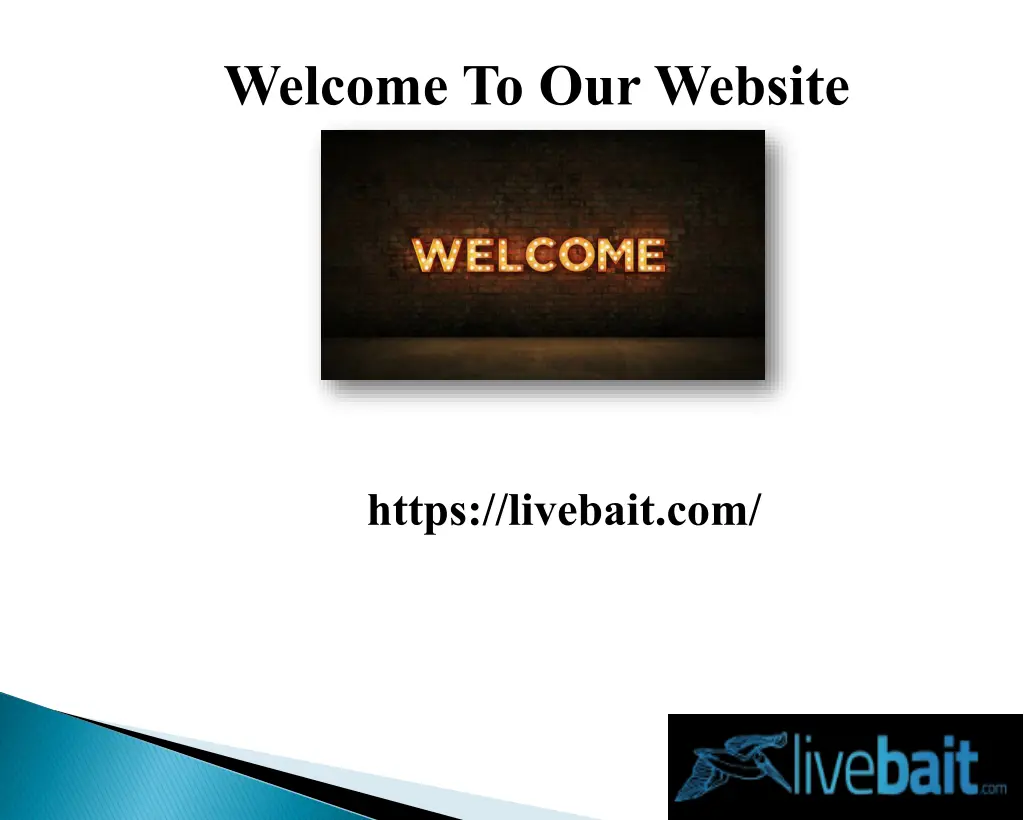 welcome to our website
