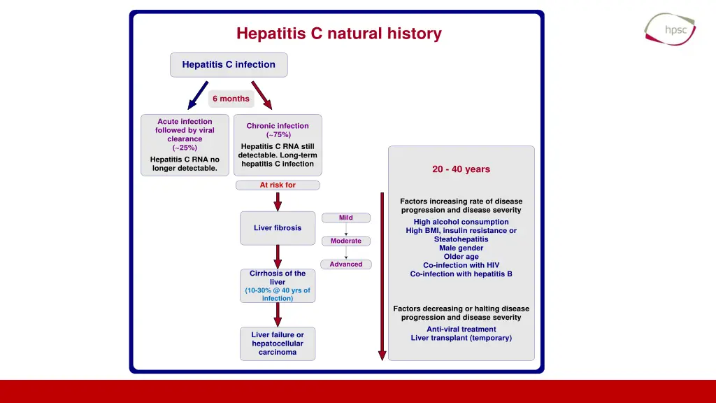 hepatitis c natural history