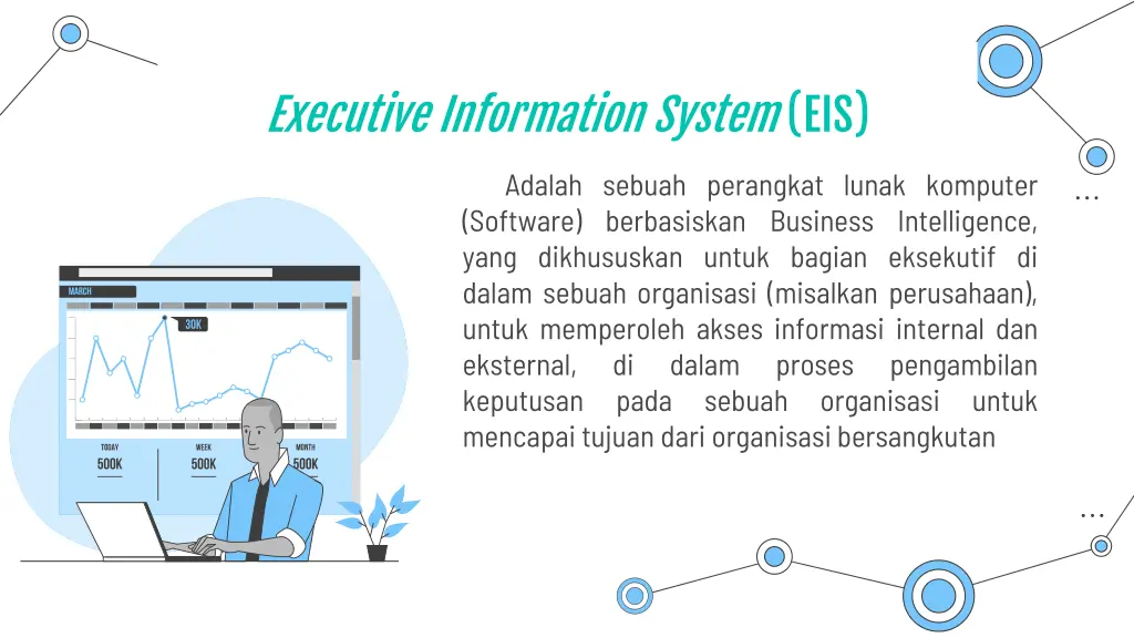 executive information system eis