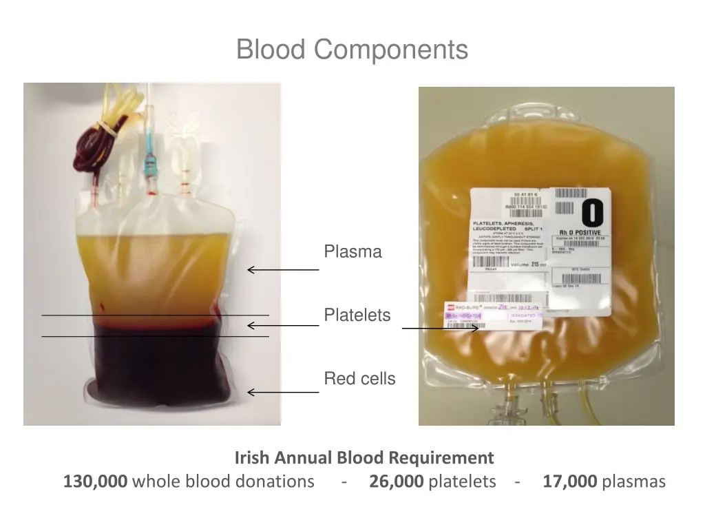 blood components
