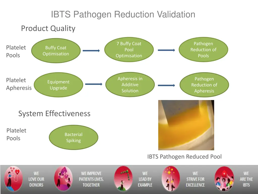 ibts pathogen reduction validation