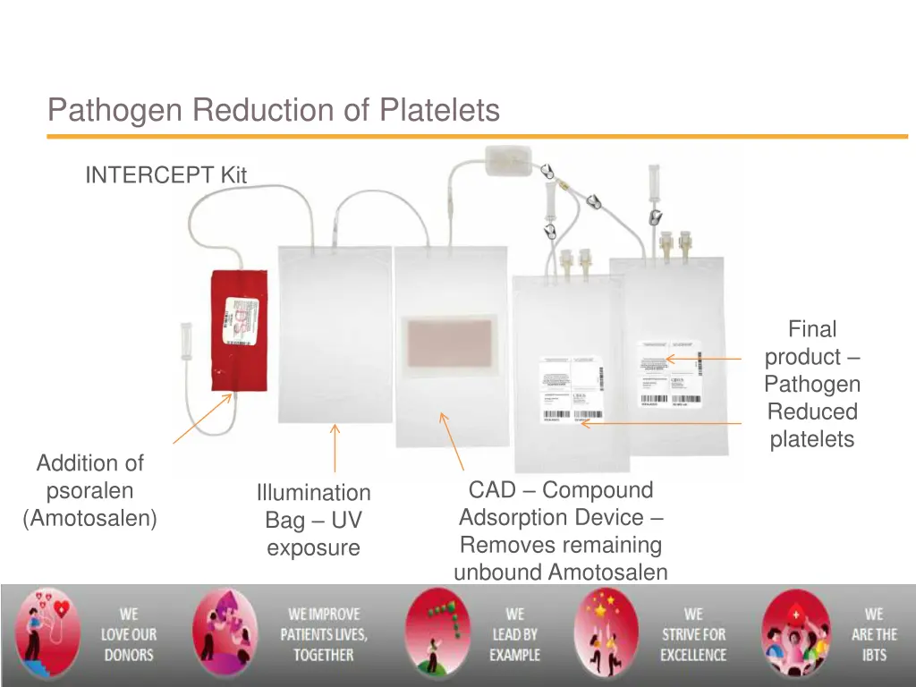 pathogen reduction of platelets 1