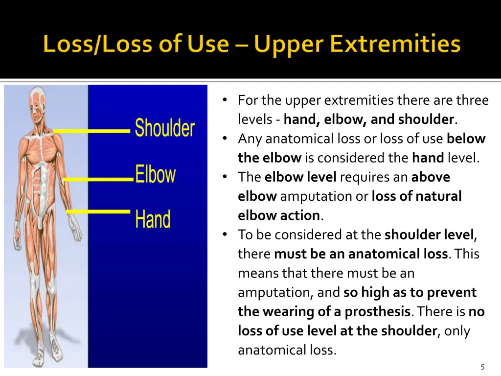 for the upper extremities there are three levels