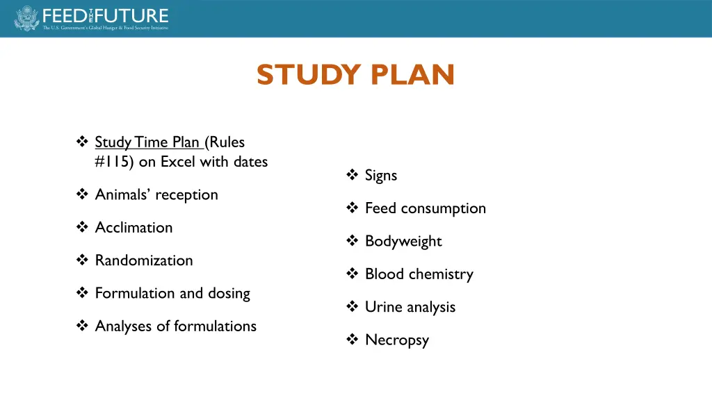 study plan