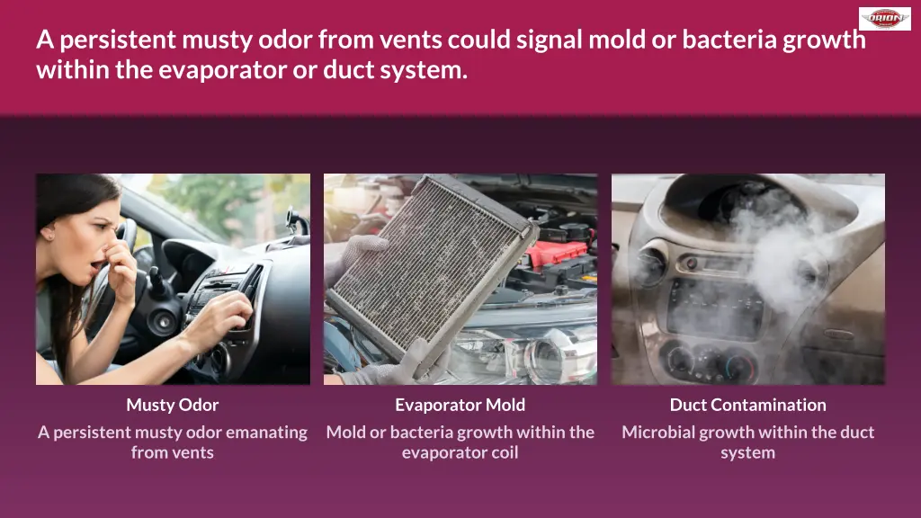 a persistent musty odor from vents could signal