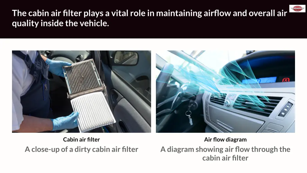the cabin air filter plays a vital role