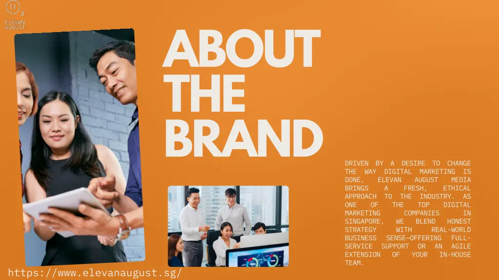 about the brand