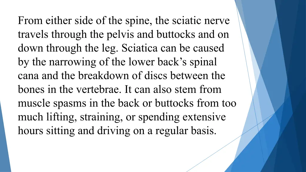 from either side of the spine the sciatic nerve