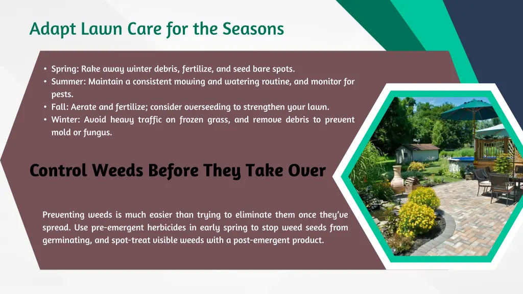 adapt lawn care for the seasons