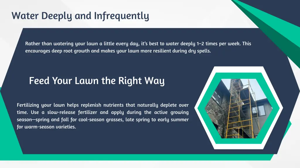 water deeply and infrequently