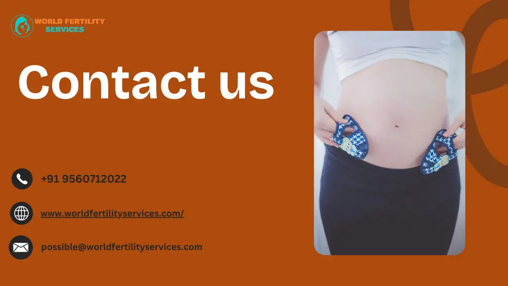 contact us