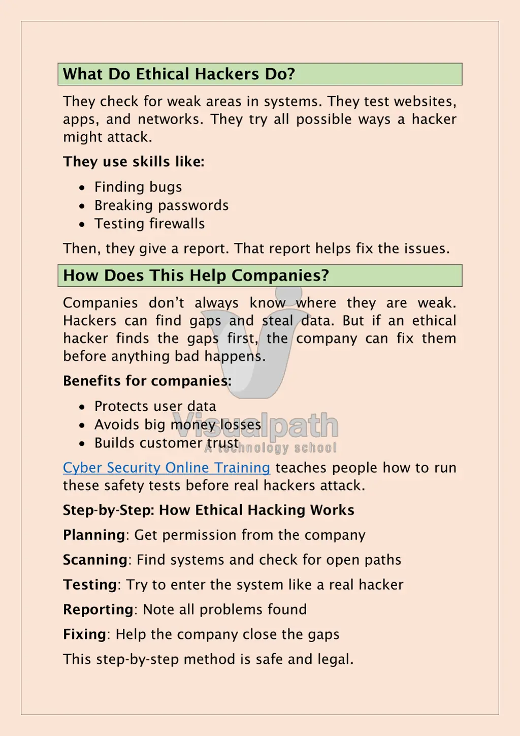 what do ethical hackers do