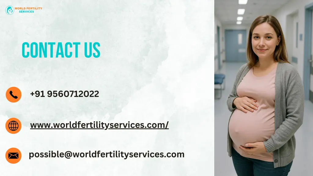 contact us