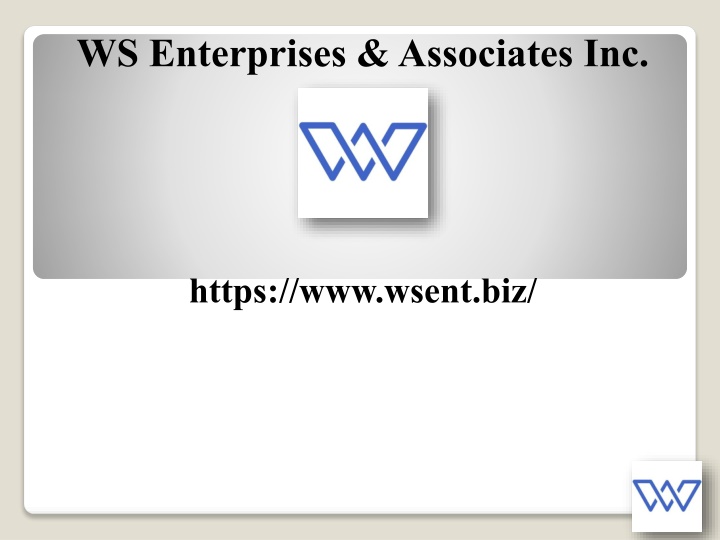 ws enterprises associates inc