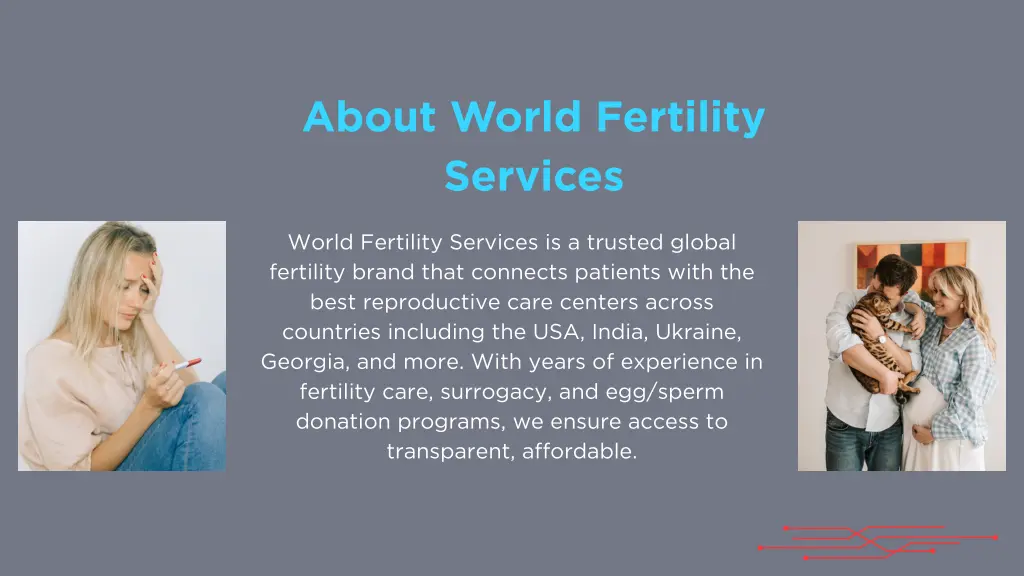 about world fertility services