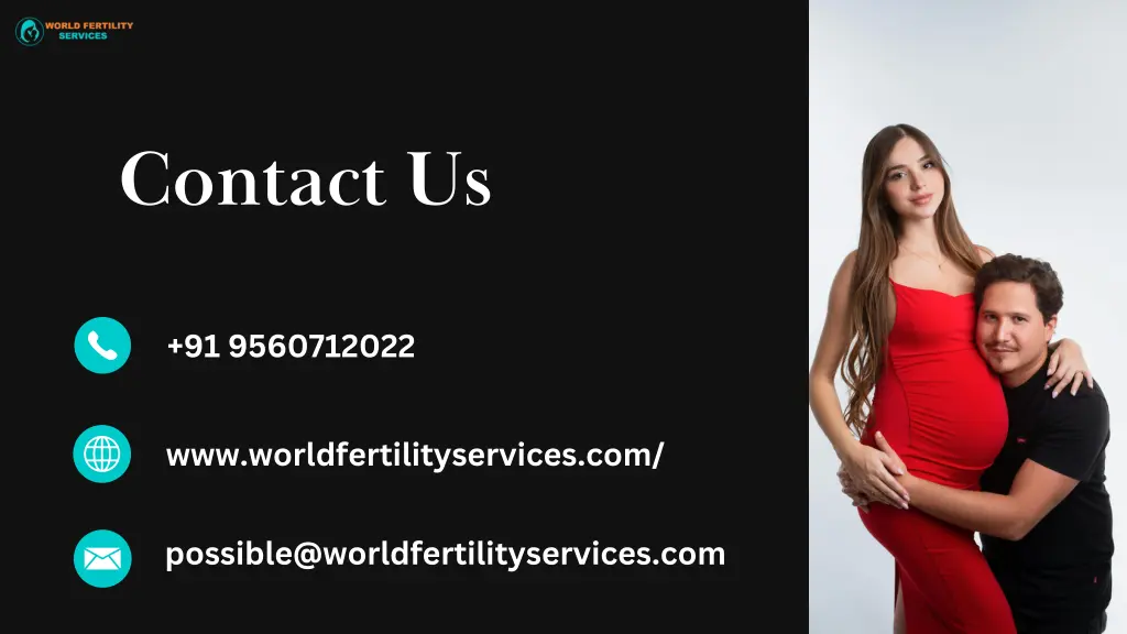 contact us