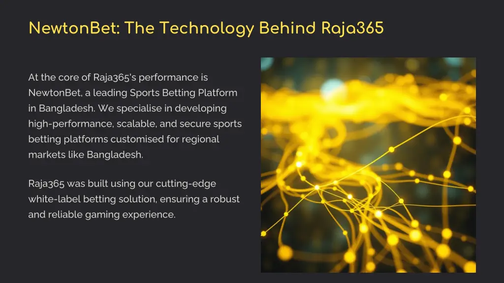 newtonbet the technology behind raja365