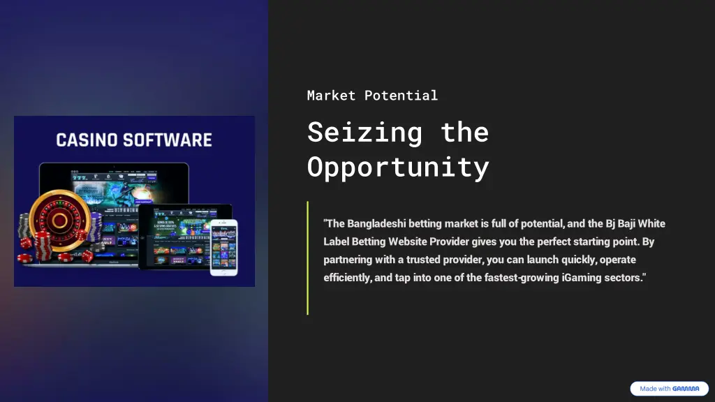 market potential seizing the opportunity