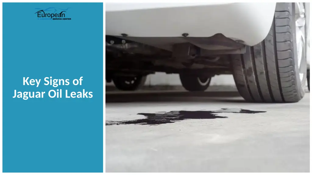 key signs of jaguar oil leaks