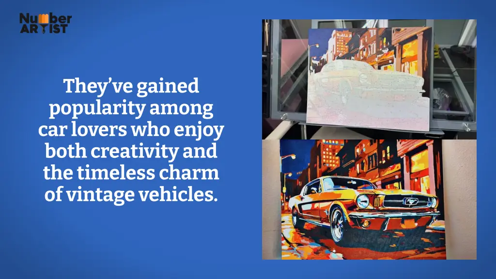 they ve gained popularity among car lovers