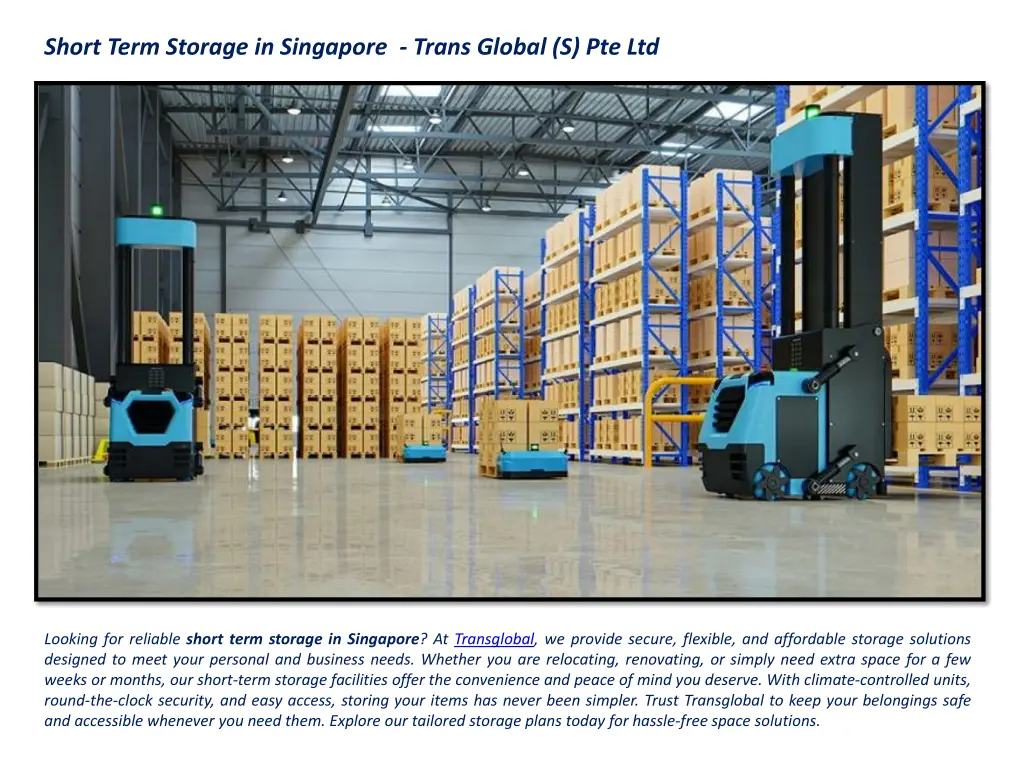 short term storage in singapore trans global