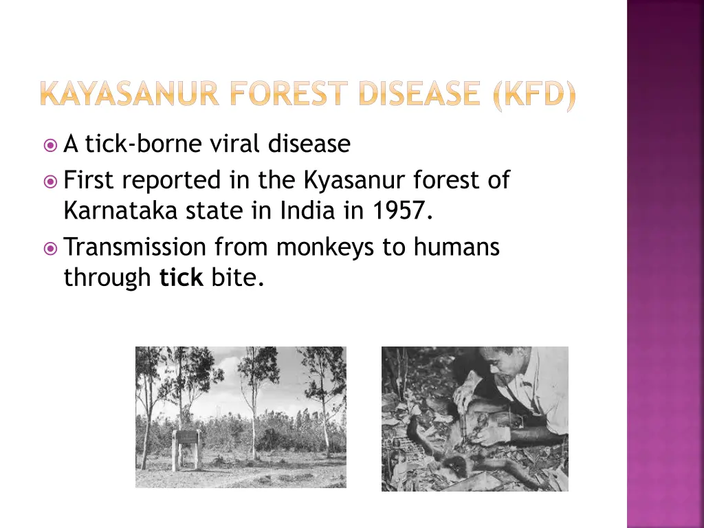 kayasanur forest disease kfd