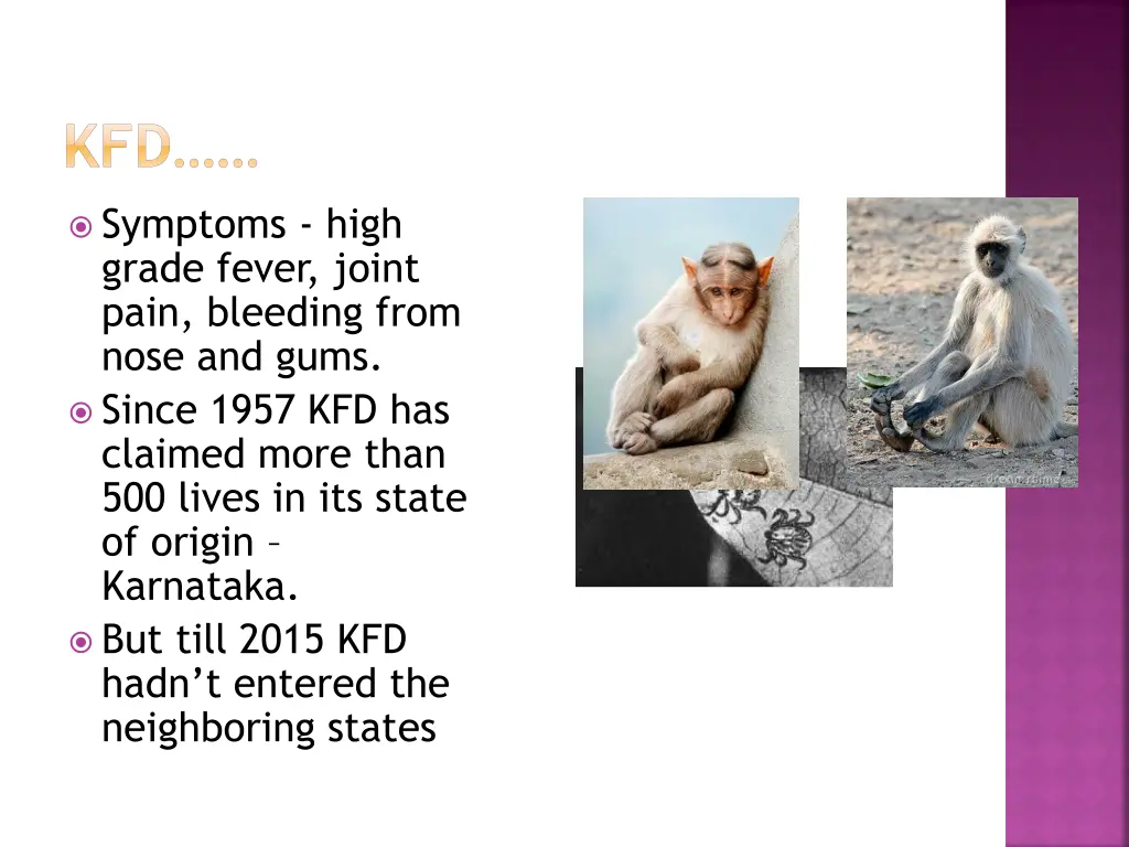 slide3