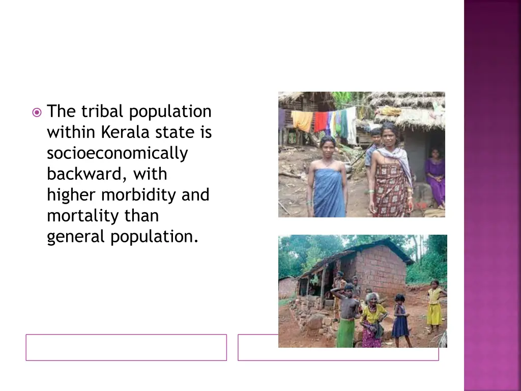the tribal population within kerala state