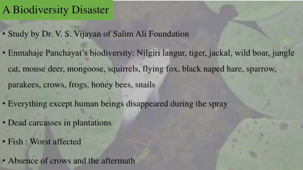 a biodiversity disaster