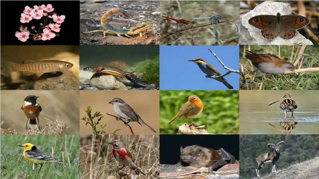 slide7