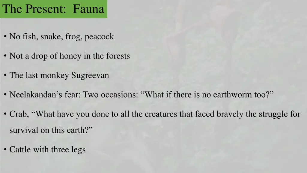 the present fauna