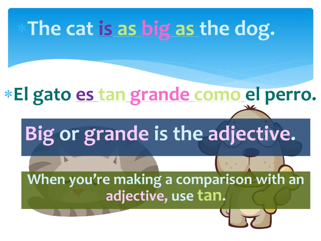 the cat is as big as the dog