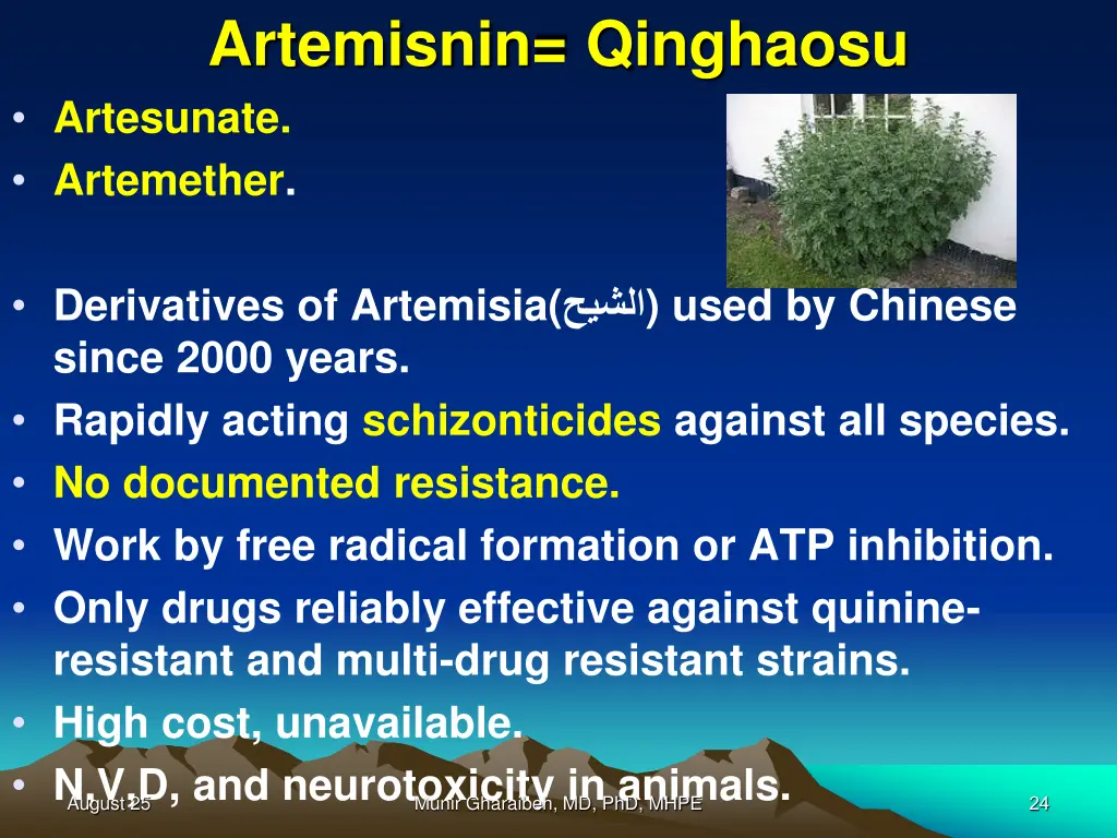artemisnin qinghaosu artesunate artemether