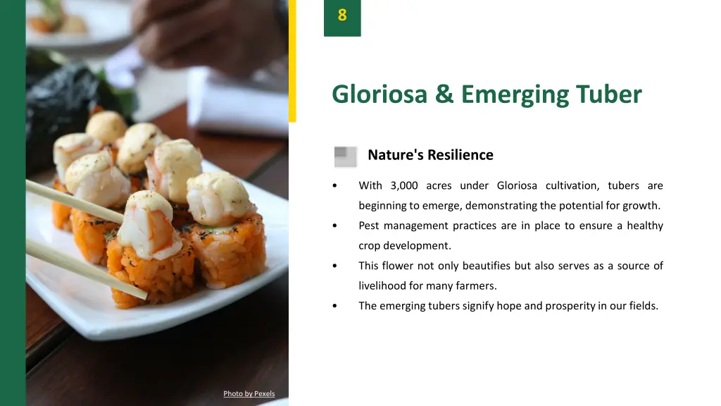 slide10