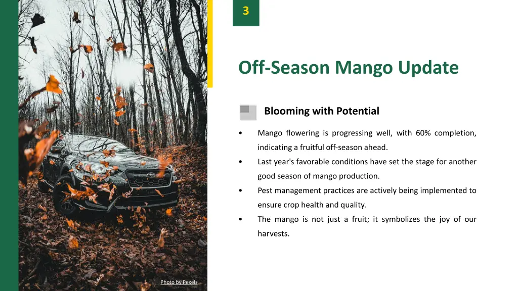slide5