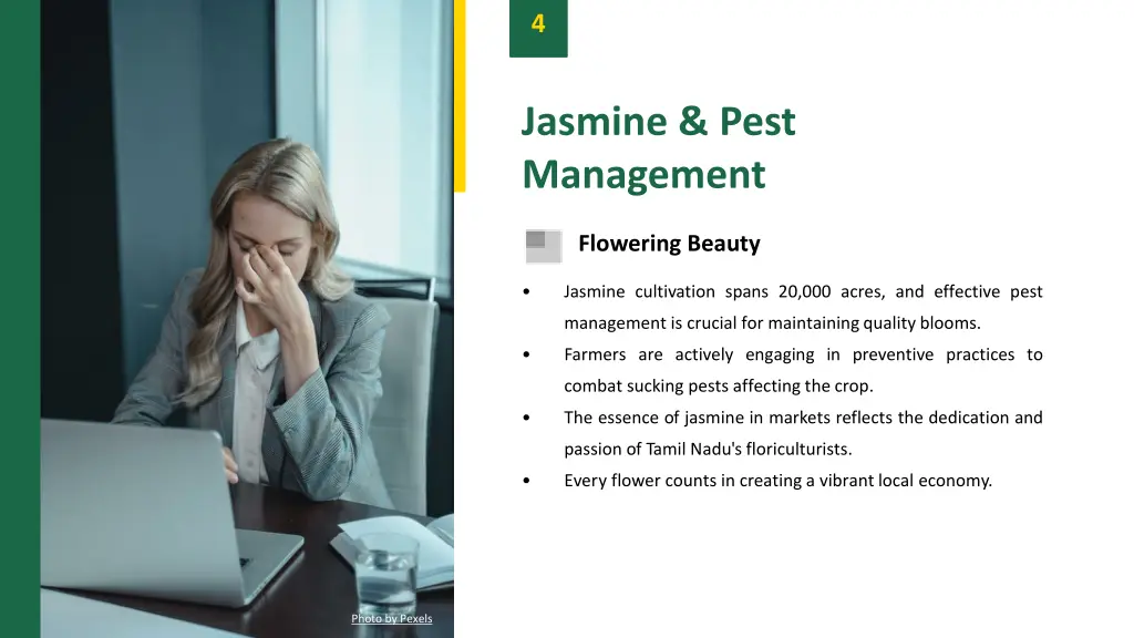 slide6