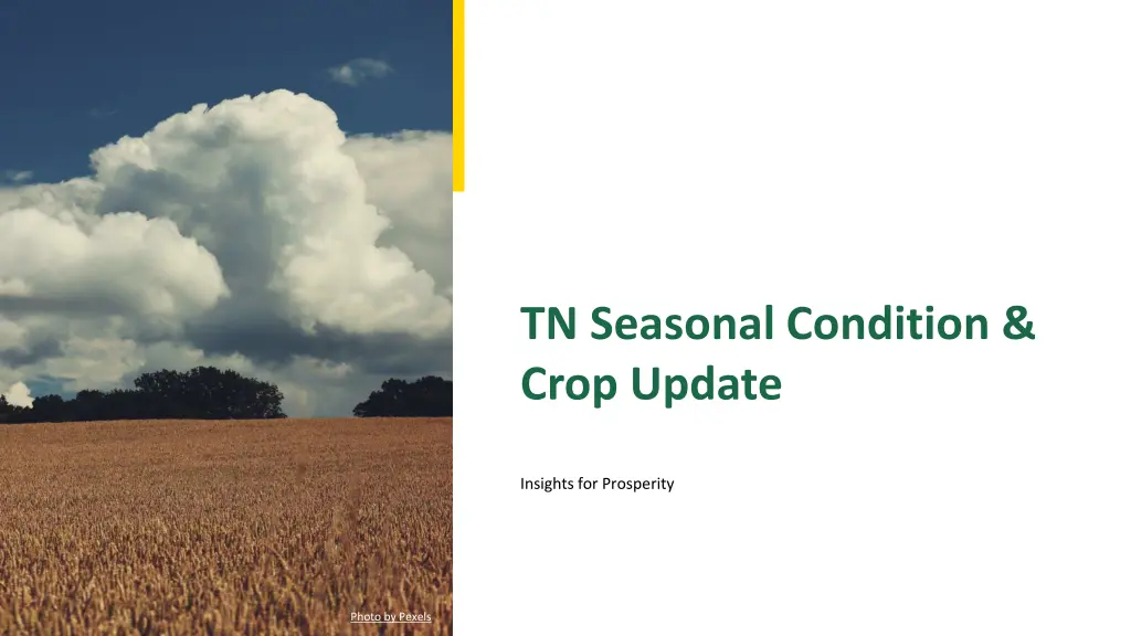 tn seasonal condition crop update