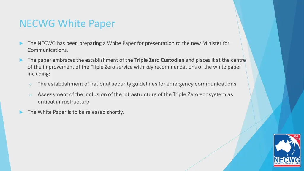 necwg white paper