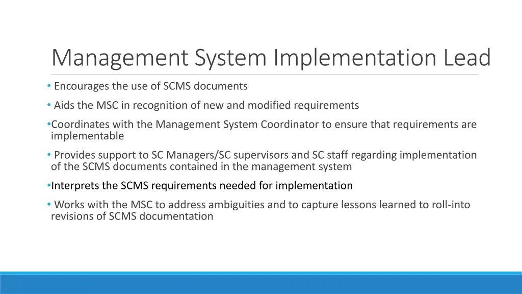 management system implementation lead