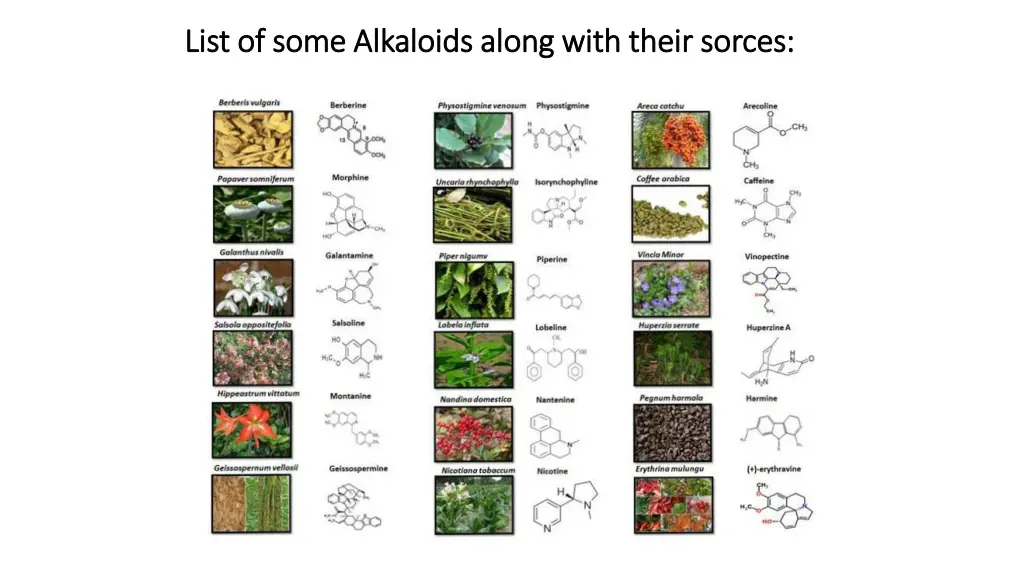 list of some alkaloids along with their sorces