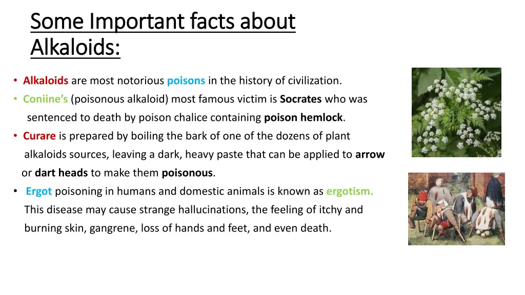 some important facts about some important facts