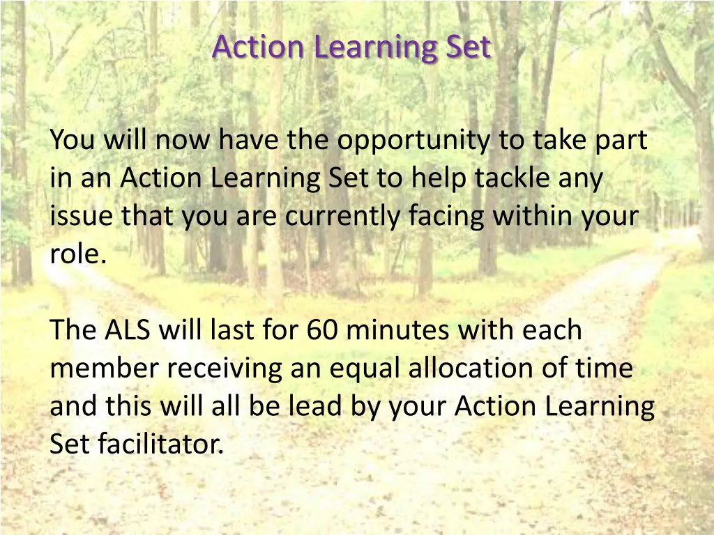 action learning set