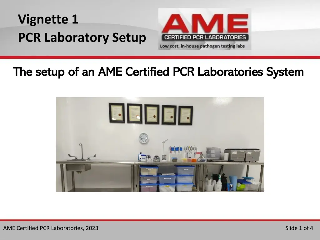 vignette 1 pcr laboratory setup