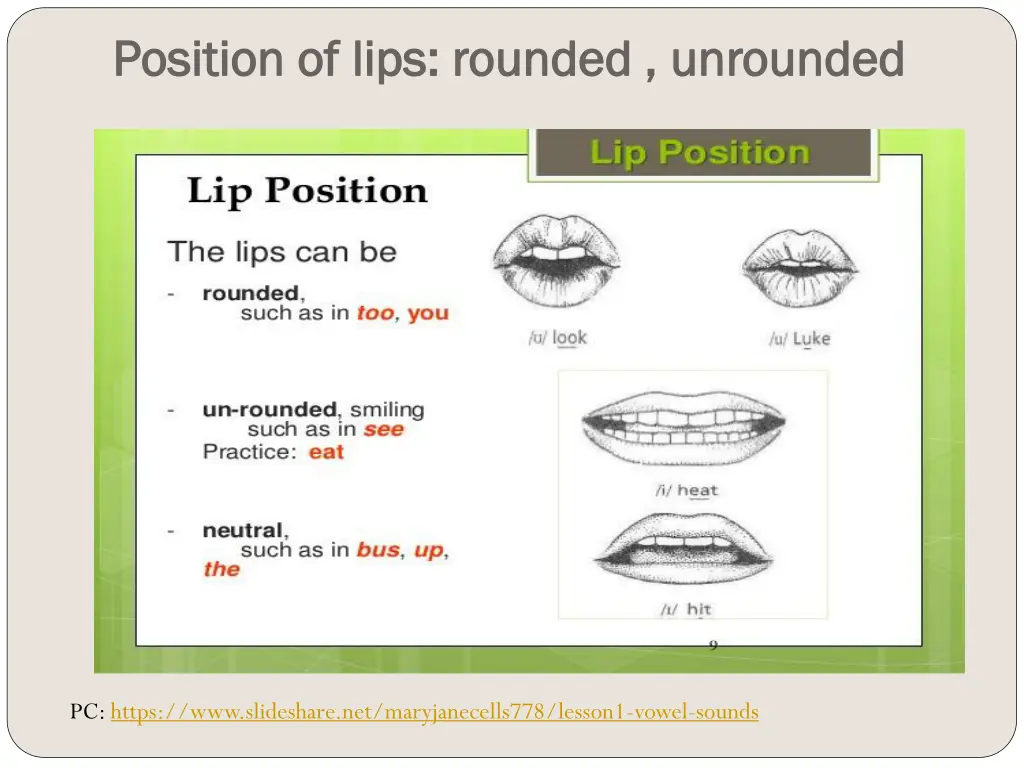 position of lips rounded unrounded position